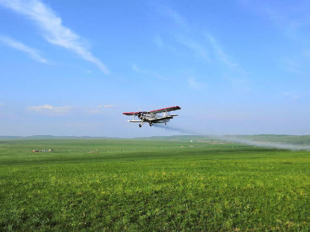 Forage Production, Processing, and Grassland Protection